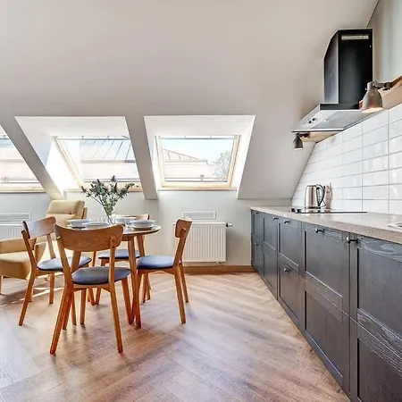 Domillion 1bdr New Old Town U2307 Apartament Wilno